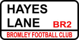 Kids Bromley FC Hayes Lane T-Shirt Football Fan Unisex Youth Cotton Top