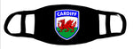 Cardiff Wales Face Mask Covering