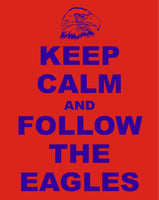 Keep Calm Follow The Eagles Football Club T-Shirt - Sizes Small to 5XL